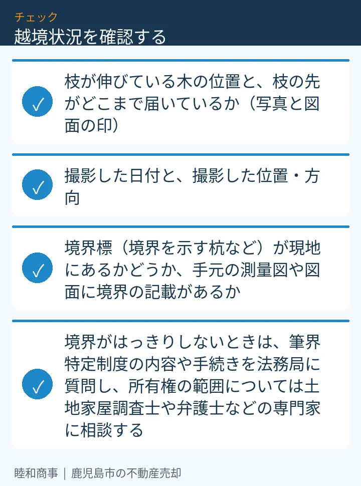 越境状況を確認する:本文の4項目をまとめた図解